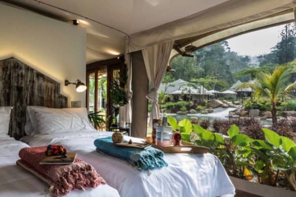 Tiarasa Escapes luxury tent interior king bed rainforest view balcony